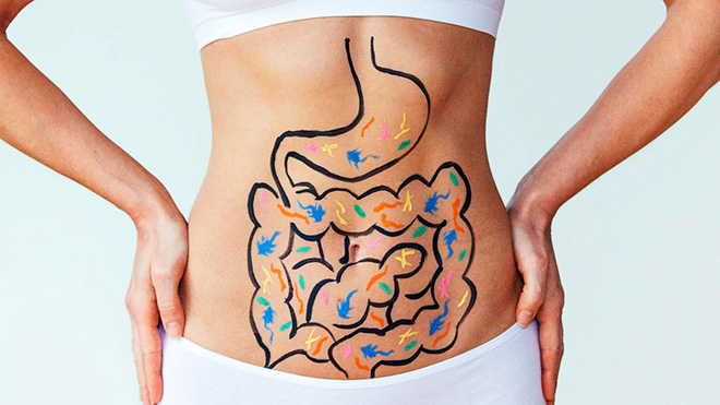 Củ đậu giúp tăng cường sức khỏe hệ tiêu hóa