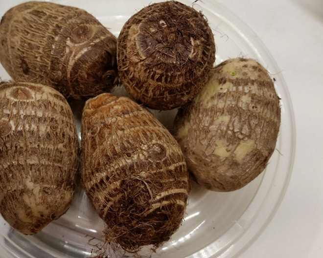 Chia lượng nhỏ lượng khoai sọ