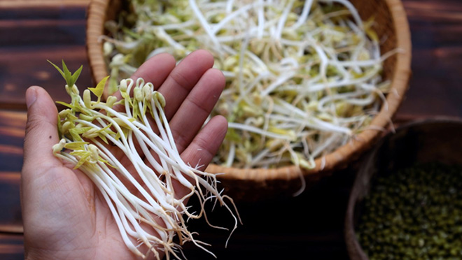 Giá đỗ hỗ trợ hệ tiêu hóa hoạt động hiệu quả