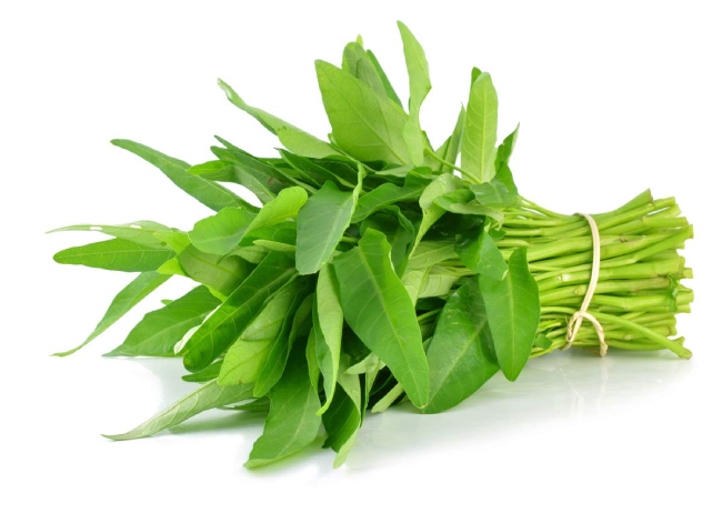 Phẫu thuật sỏi thận không nên ăn nhiều rau muống