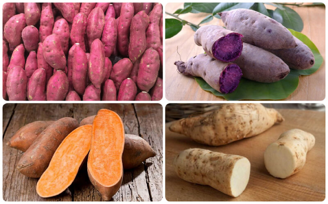 Các loại khoai khác nhau nhau