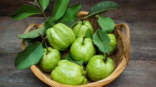 Mẹ bầu cần ăn ổi đúng cách