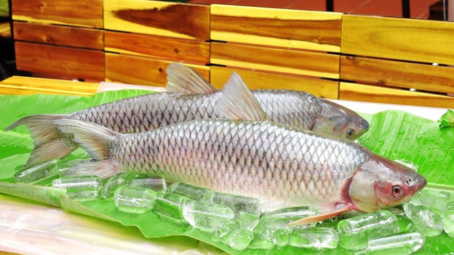 Người tiểu đường có được ăn cá trắm không? Liều lượng phù hợp