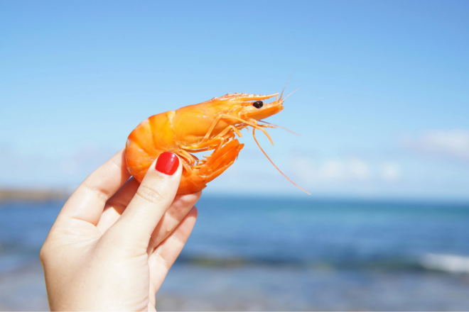 Tôm là loại hải sản mang đến nhiều lợi ích sức khỏe cho người mắc bệnh tiểu đường